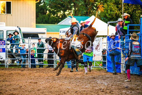 BraidwoodRodeo2017_3792