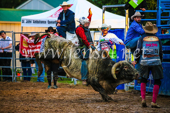 BraidwoodRodeo2017_3739