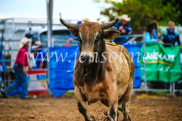 BraidwoodRodeo2017_2812