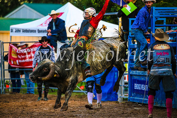 BraidwoodRodeo2017_3752
