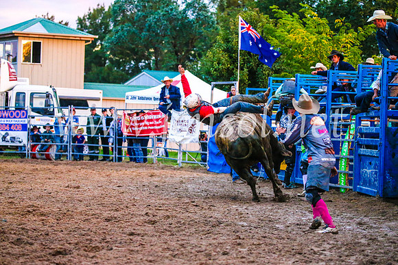 BraidwoodRodeo2017_3843