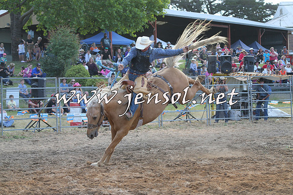 MossVale2015_0696