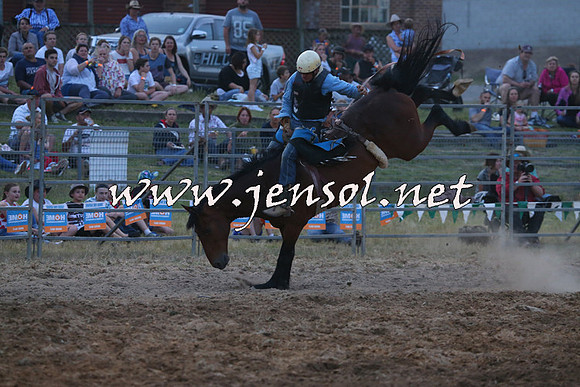 MossVale2015_1710