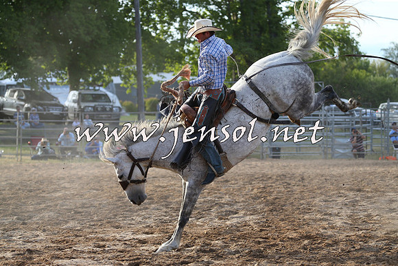 MossVale2015_0548