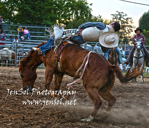 MossVale2015web_1652