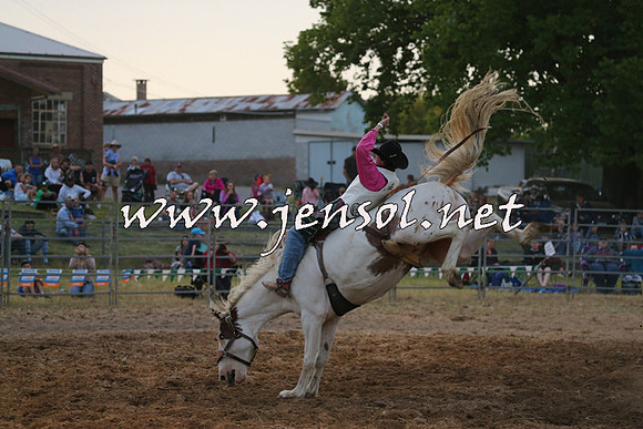 MossVale2015_1531