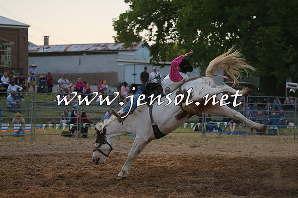 MossVale2015_1528