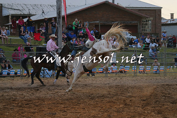 MossVale2015_1542