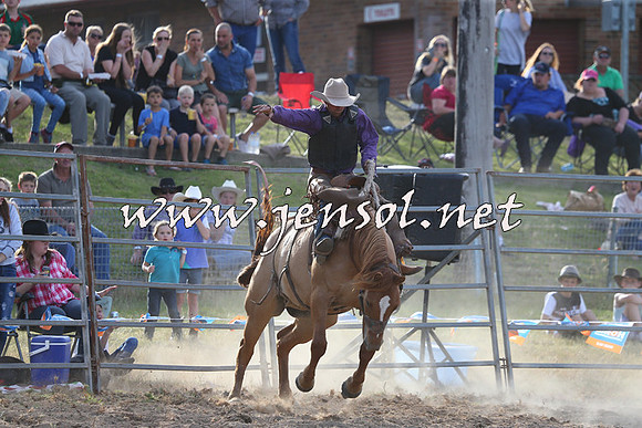 MossVale2015_0614