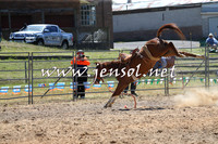 MossVale2015_0010