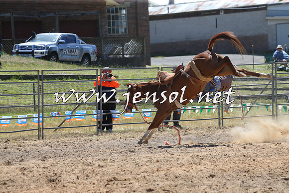 MossVale2015_0010
