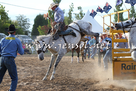 MossVale2015_0537
