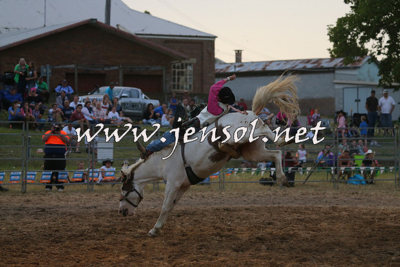 MossVale2015_1520