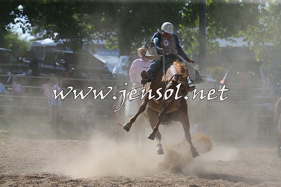 MossVale2015_0182