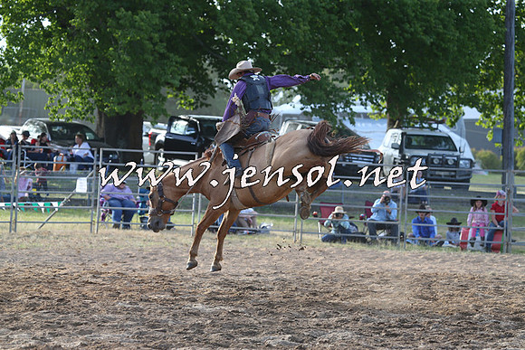 MossVale2015_0580
