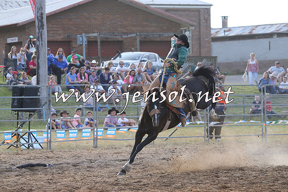 MossVale2015_0739