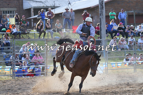 MossVale2015_0480