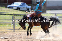MossVale2015_0052