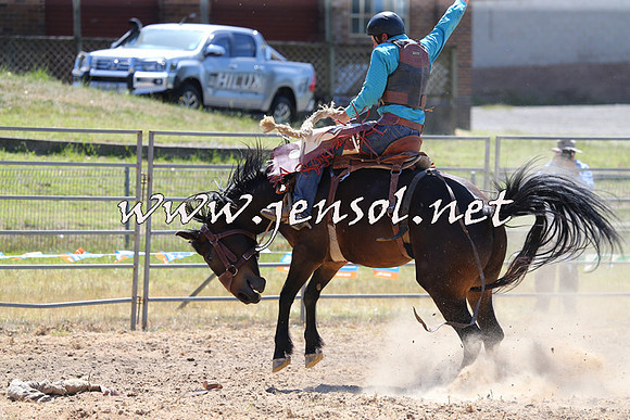 MossVale2015_0052