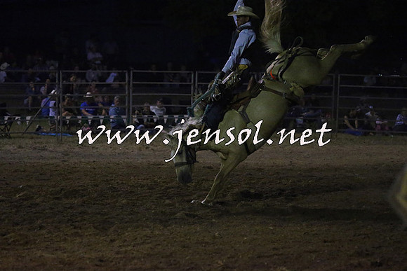 MossVale2015_2024