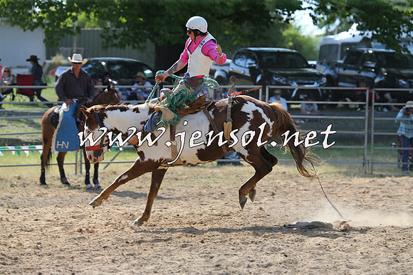 MossVale2015_0222