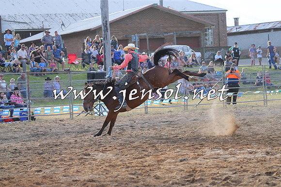 MossVale2015_0846