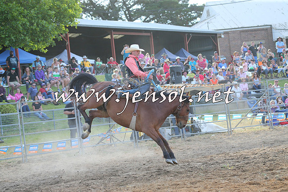 MossVale2015_0879