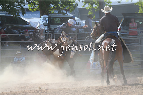 MossVale2015_0196