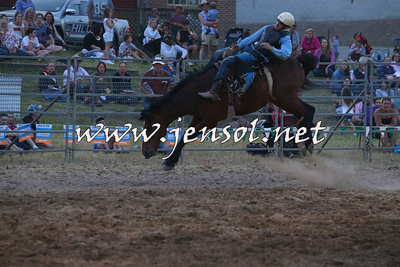 MossVale2015_1706