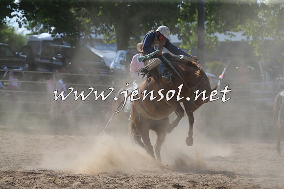 MossVale2015_0164