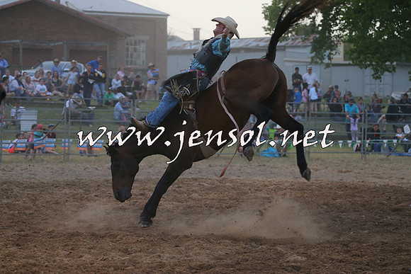 MossVale2015_1579