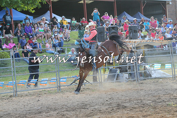 MossVale2015_0875
