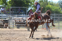 MossVale2015_0130