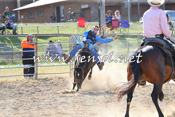MossVale2015_0380