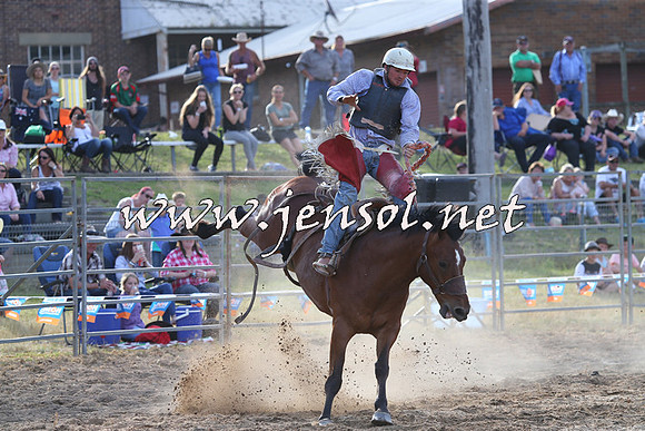 MossVale2015_0477