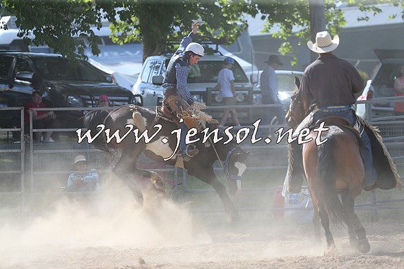 MossVale2015_0193