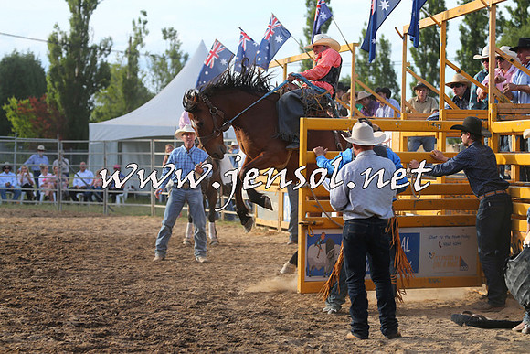 MossVale2015_0818