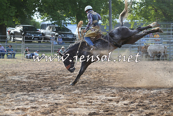 MossVale2015_0518