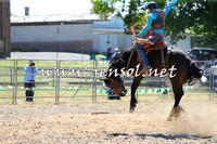 MossVale2015_0047
