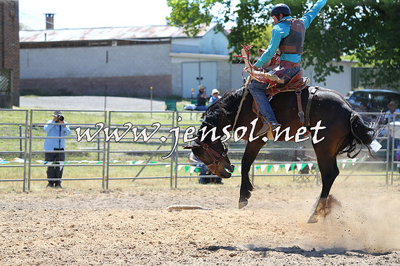 MossVale2015_0047