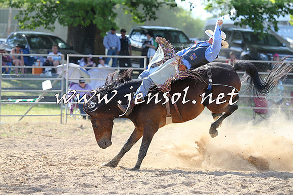 MossVale2015_0330