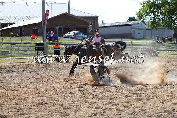 MossVale2015_0283