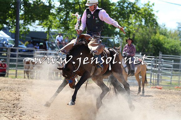 MossVale2015_0095