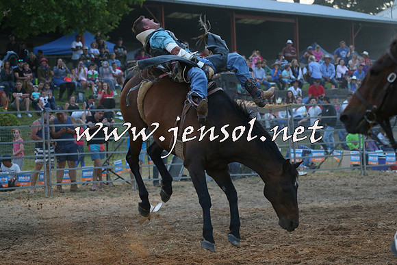 MossVale2015_1618