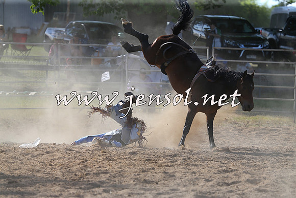 MossVale2015_0353
