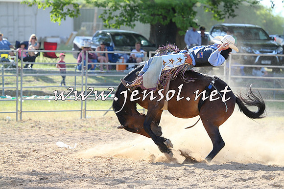 MossVale2015_0331
