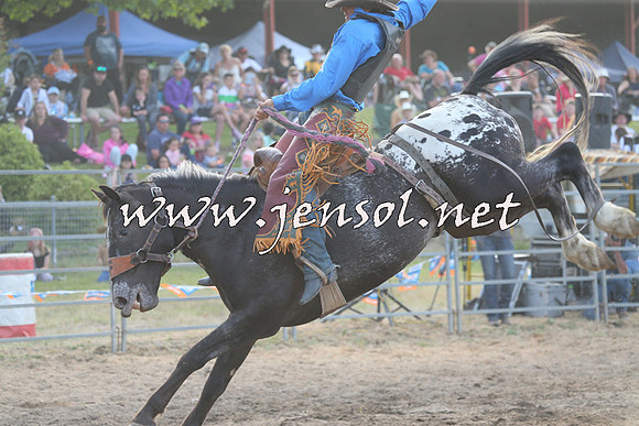 MossVale2015_0774