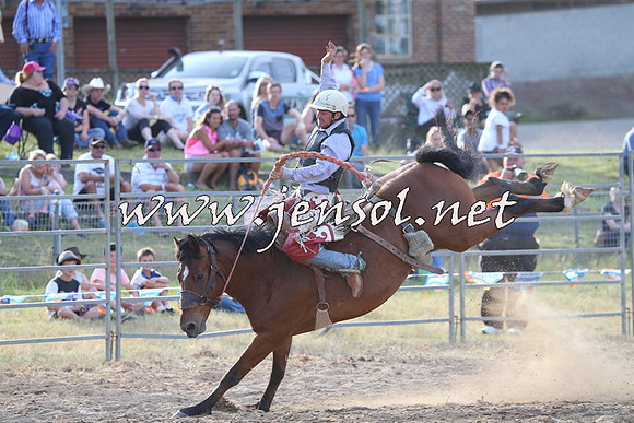 MossVale2015_0459