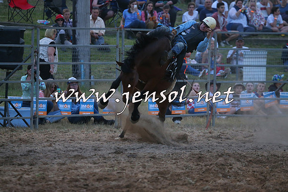 MossVale2015_1703