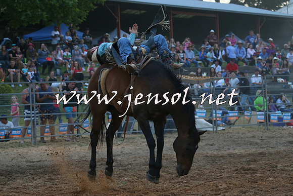 MossVale2015_1620